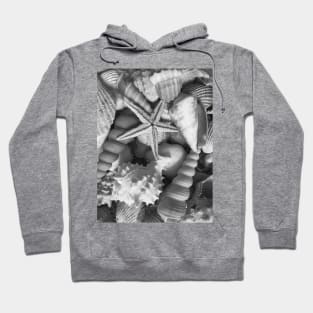 Travel Beach Summer Seashells Starfish Hoodie